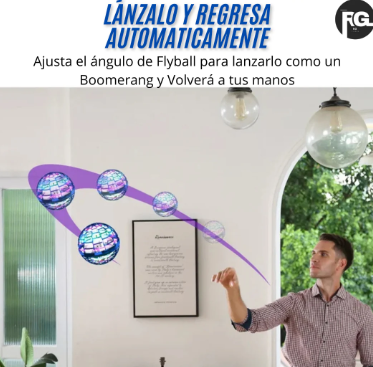 Flyball flying ball toy